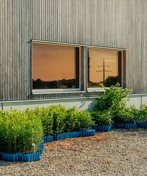 Beratung zu passenden Baumarten für Ihr Pflanz-Projekt