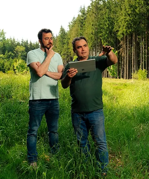 Wir beraten Sie bei der aufzuforstenden Fläche