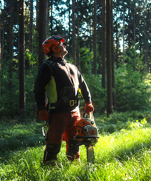 Offene Stellen bei Harrer & Mayer in Pollenfeld