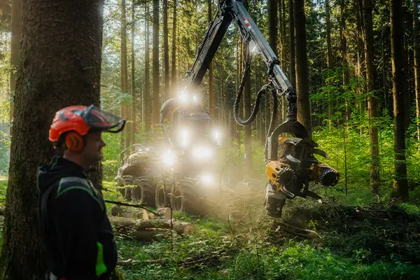 Wir machen Holz – maschinell und motormanuell