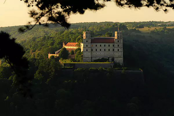 Wir betreiben nachhaltige Forstwirtschaft und denken an den Wald von morgen