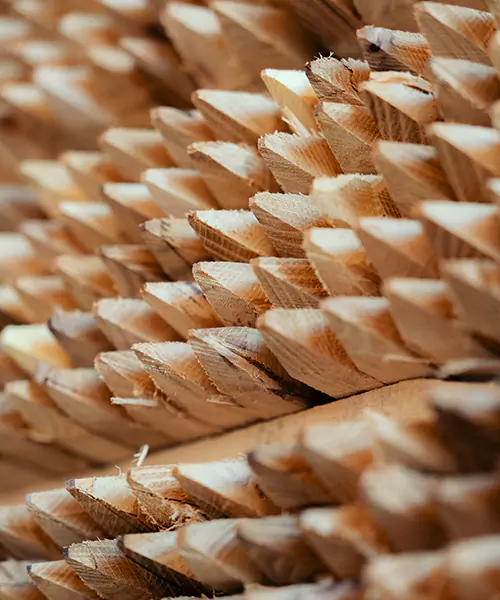 Pflanzzubehör für eine erfolgreiche Aufforstung bei Forstservice Harrer und Mayer kaufen