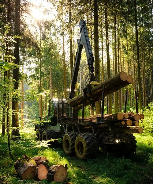 Rücken Ihres Holzes mit dem Forwarder bis zur Waldstraße
