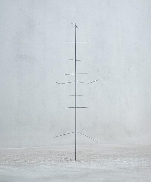 Stachelbaum kaufen als Pflanzzubehör bei Forstservice Harrer und Mayer in Pollenfeld bei Eichstätt