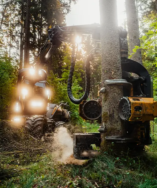 Maschinelle Holzernte mit einem Ponsse Harvester in Bayern durch Forstservice Harrer und Mayer